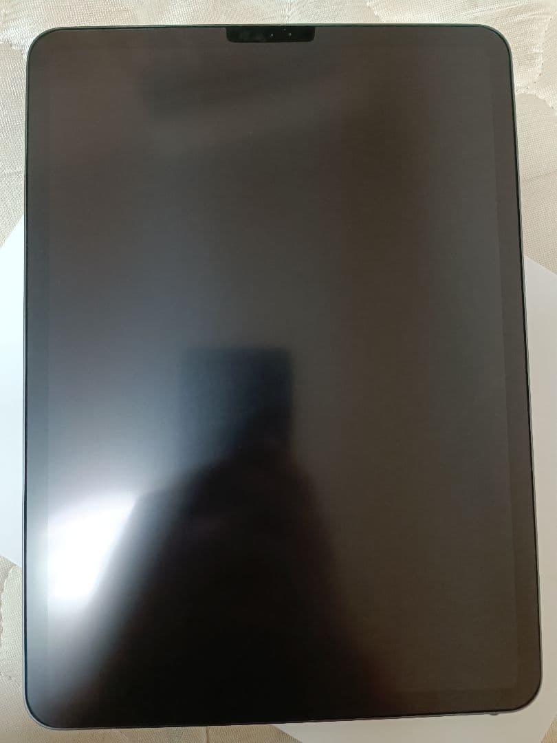 iPad Pro (第1世代) 11インチ Wi-Fi 512GB