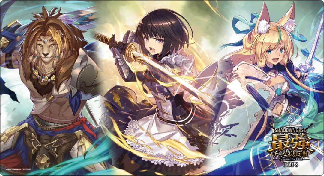 Shadowverse シャドウバース 最強チーム決定戦 プレイマット
