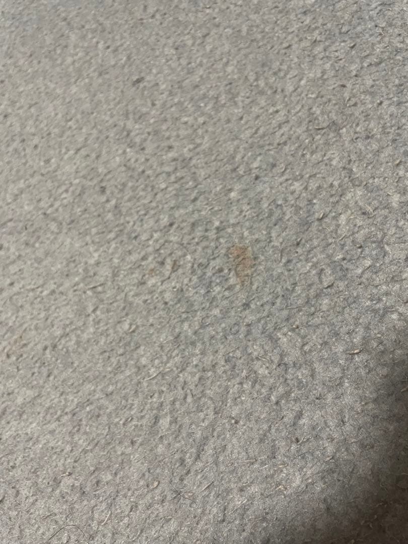 【3/31まで限定出品】Francfranc クラウドソファ