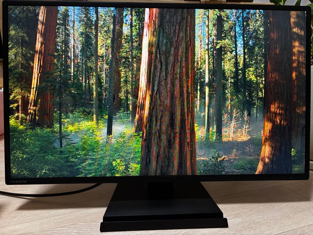 IODATA 27インチADSモニター 本体EX-LDH271DB