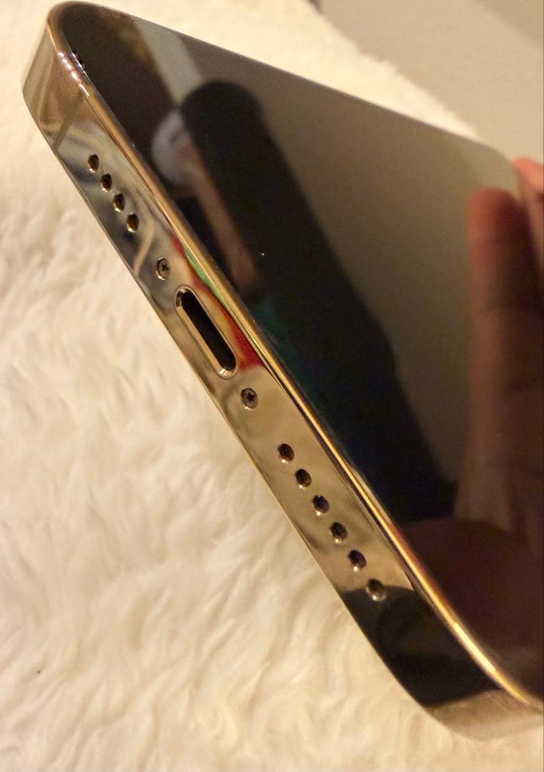 1年使用★バッテリー93%⭐️iPhone 13Pro max⭐️純正急速充電器付き