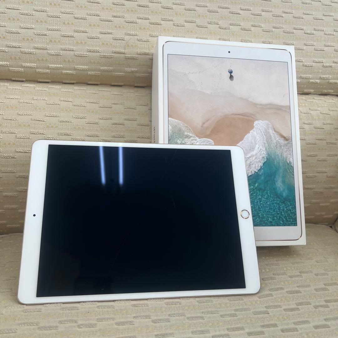 Apple iPad Pro 10.5インチ