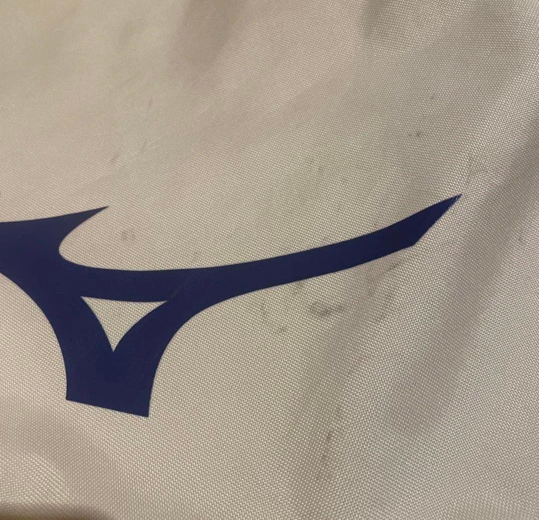 【希少カラー・スタンド式】Mizuno ゴルフ　キャディバッグ　中古