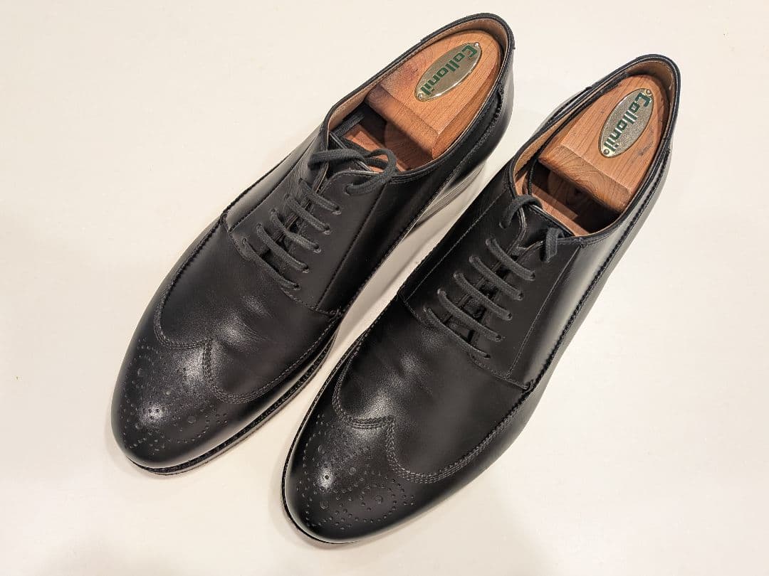 名作【F.LLI Giacometti】FG126 ウィングチップ