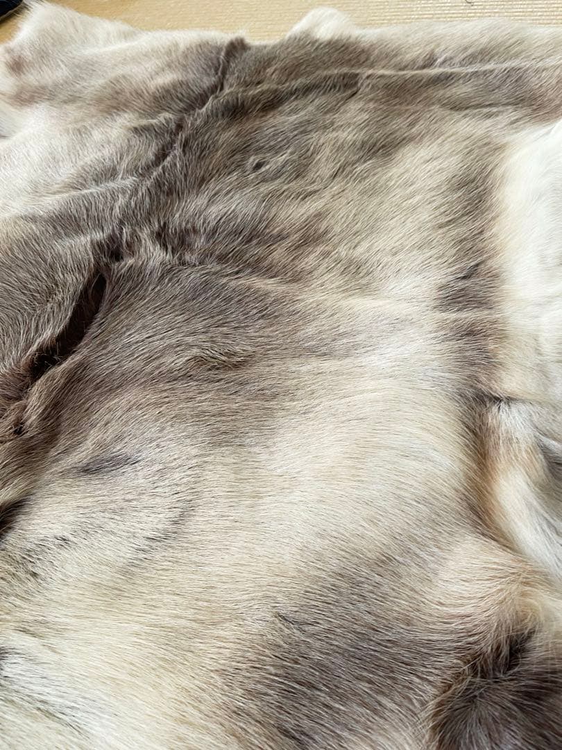 トナカイ　毛皮　敷物　ラグ