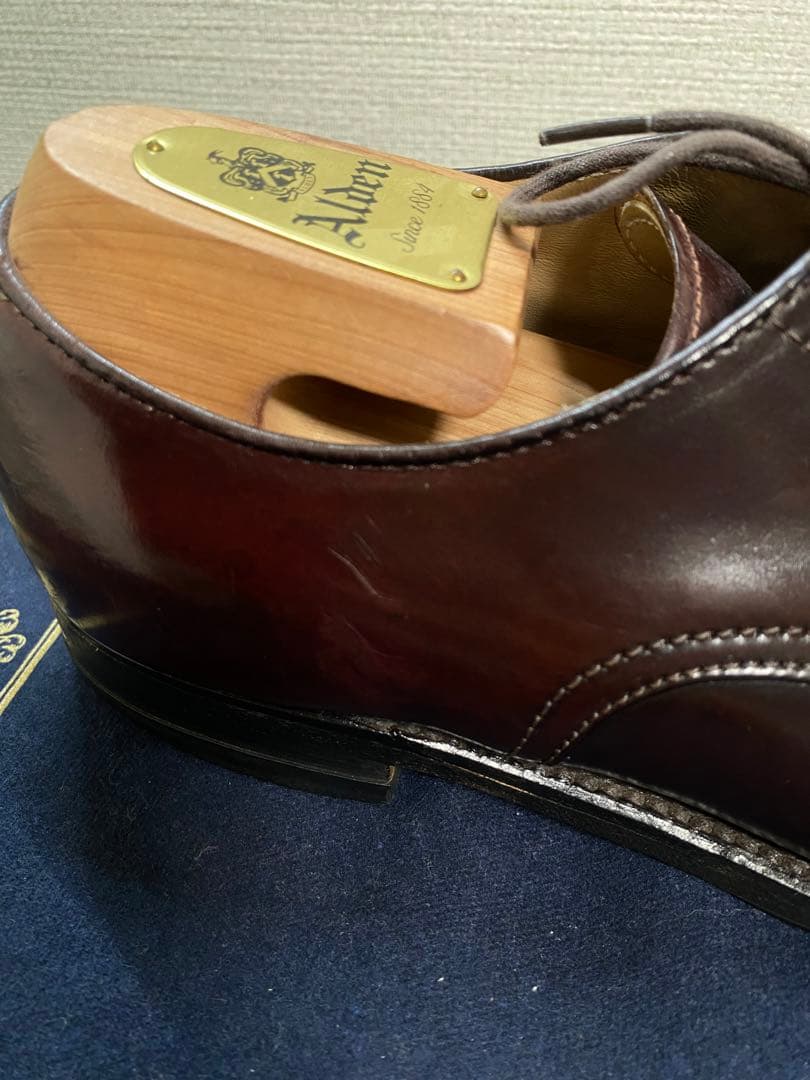 ALDEN オールデン 54321 Vチップ 7.5 コードバン