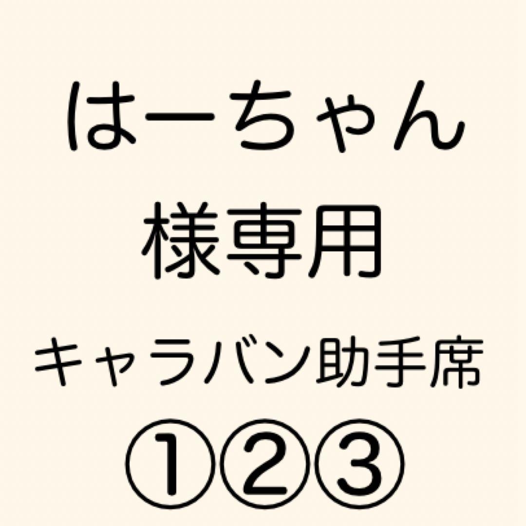 [専用出品]はーちゃん