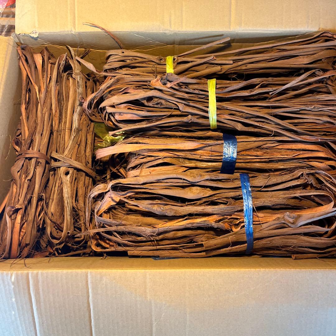 ラッキー　山葡萄の蔓