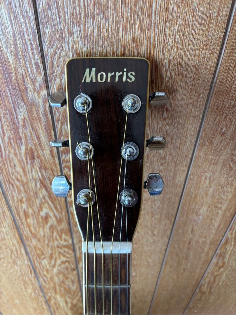 モーリスW30 ジャパンヴィンテージ　アコギ