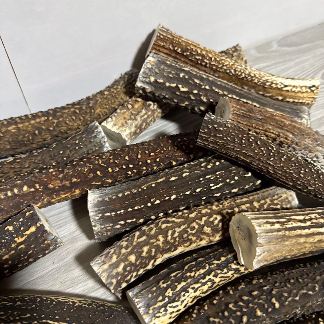 鹿の角　端材Ｂ　ハンドメイド用