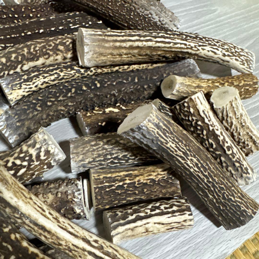 鹿の角　端材Ｂ　ハンドメイド用