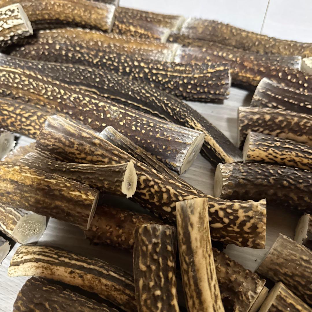 鹿の角　端材Ｂ　ハンドメイド用