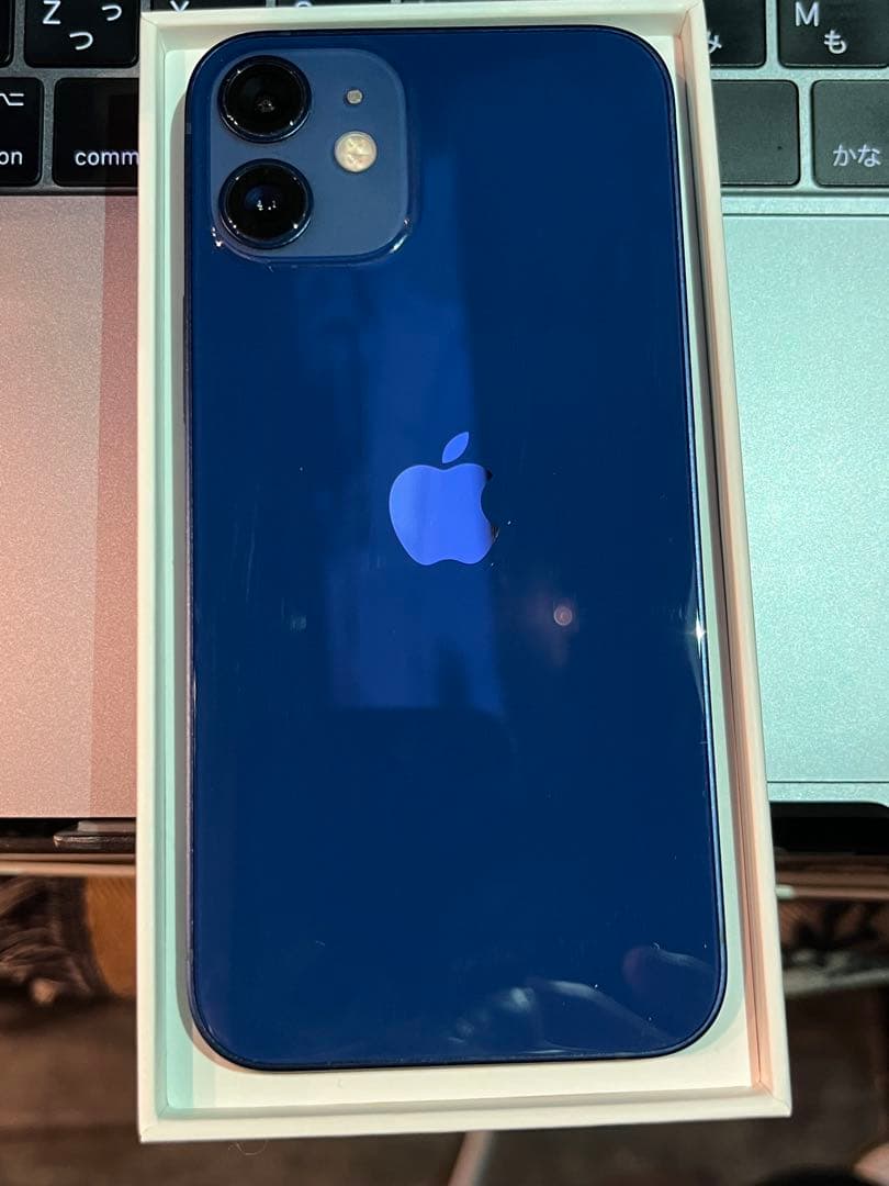 【概ね美品】 Apple iPhone 12 ブルー 本体 箱付き＋付属品多数有