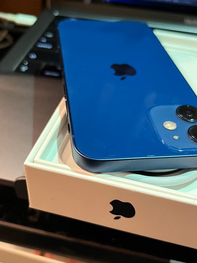 【概ね美品】 Apple iPhone 12 ブルー 本体 箱付き＋付属品多数有