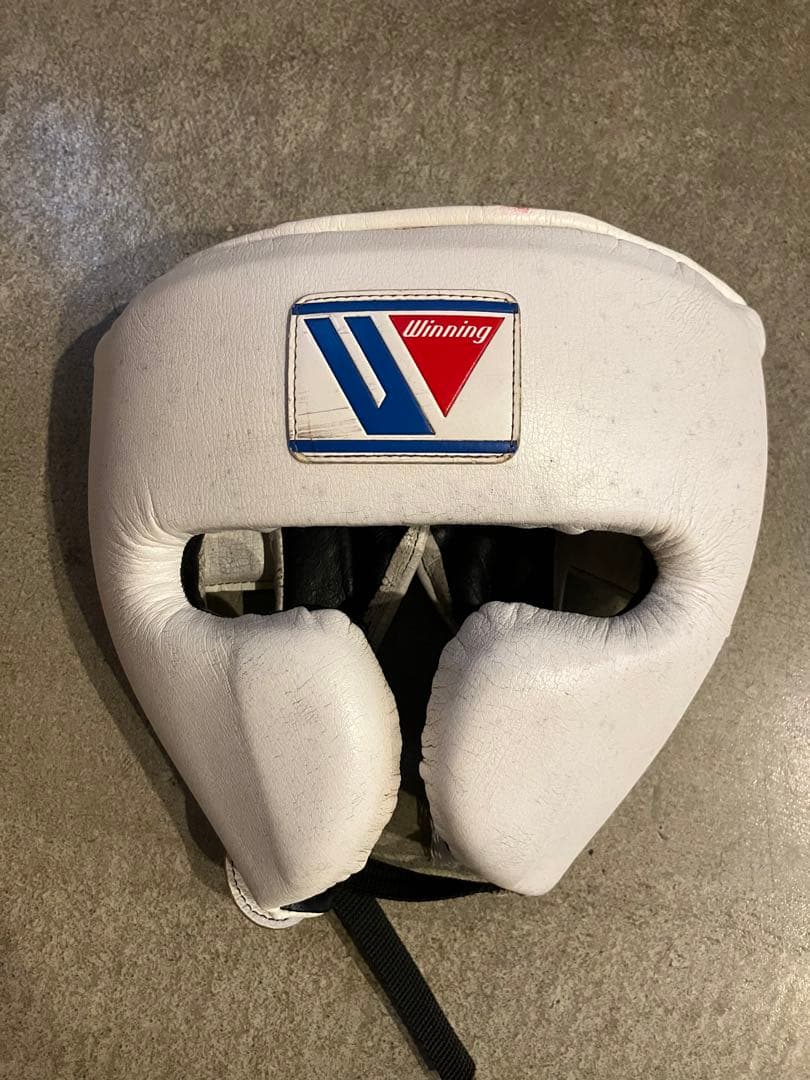 Winning ヘッドギア フルフェイスタイプ ホワイト L FG-2900