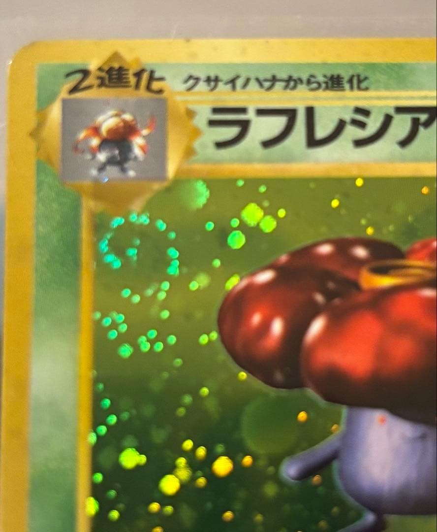 メ*ロ様 【旧裏ポケカ】キラ25枚セット まとめ売り（カツラのウィンディ、ピチュ