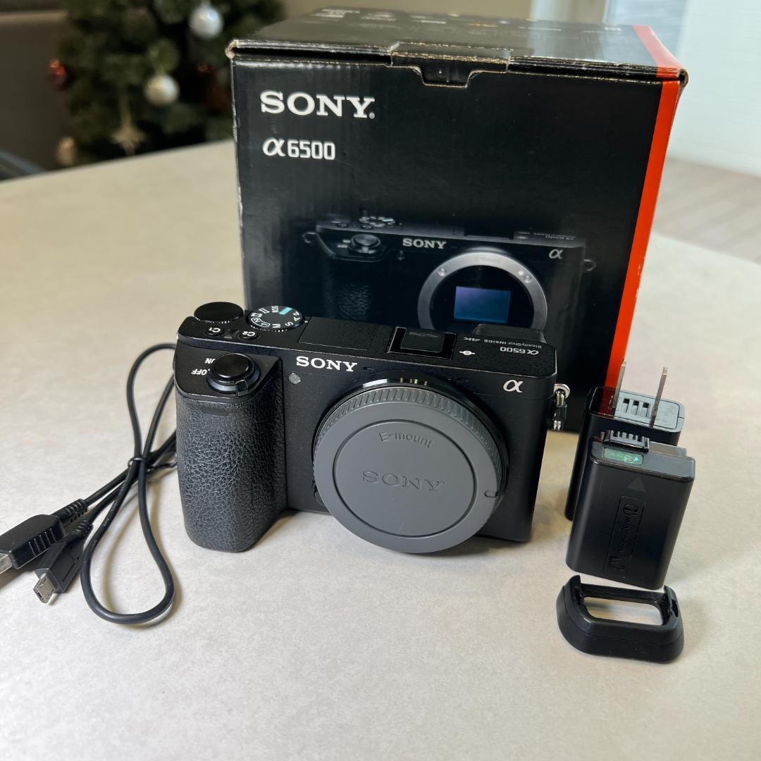 SONY α6500 ILCE-6500 ミラーレス一眼 本体