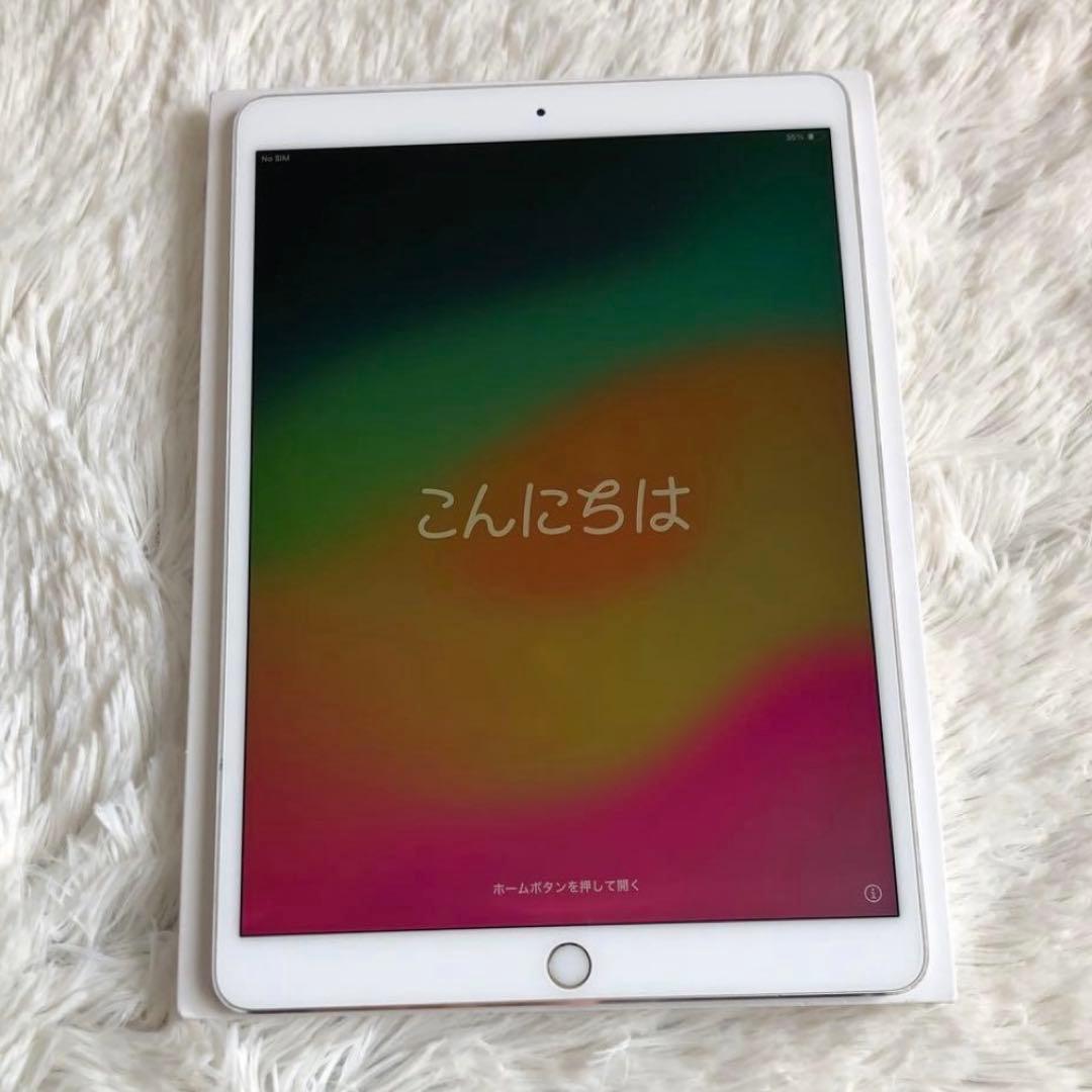 【早い者勝ち】iPad Pro 10.5 256GB SIMフリー【すぐ発送】