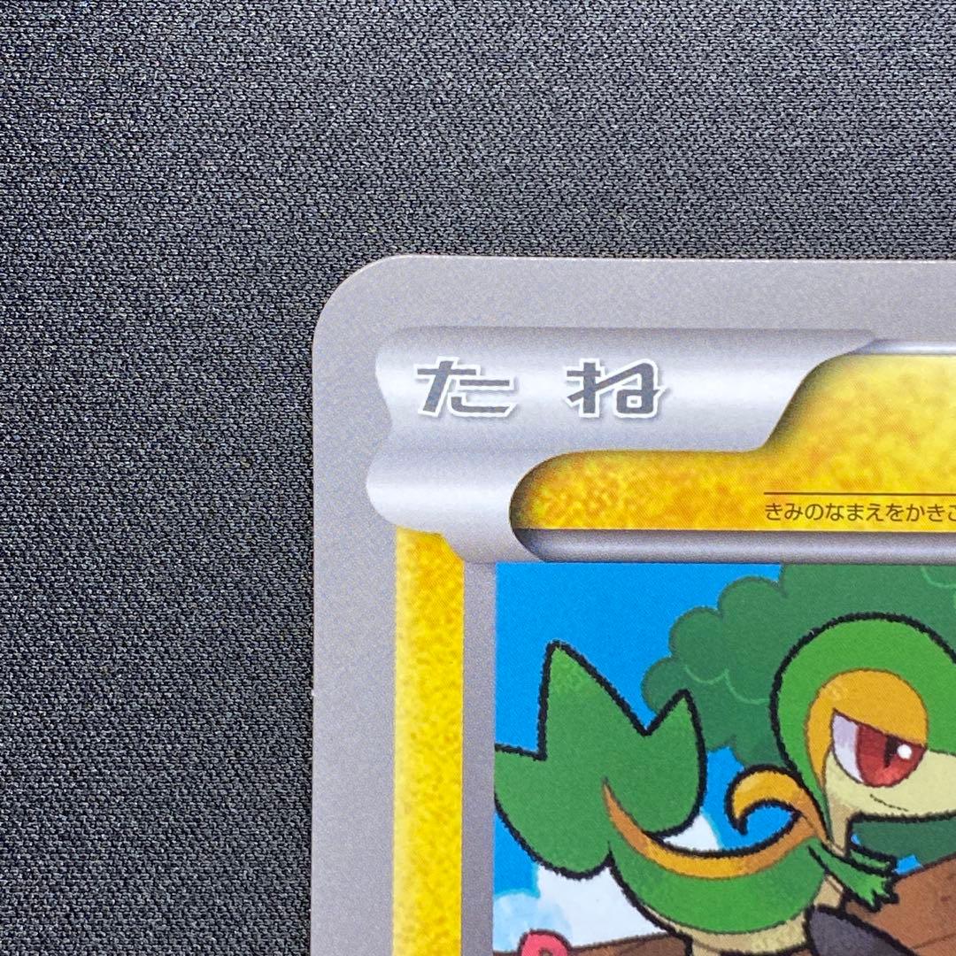 ＿のピカチュウ おたんじょうびカード