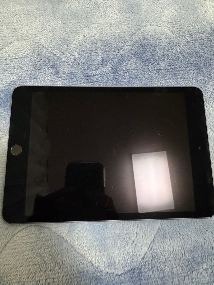 【美品】iPad mini 第5世代 スペースグレー　64GBセルラーモデル