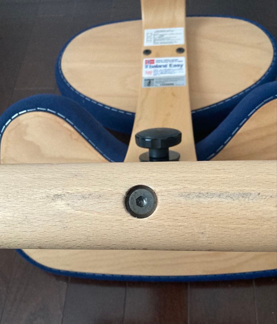 サカモトハウス★ バランスチェアイージー 専用カバー（オレンジ色）付き