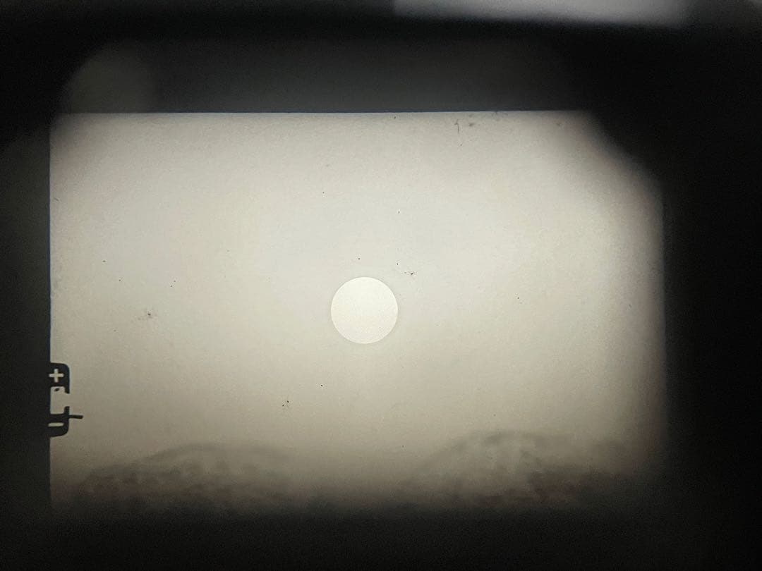 OLYMPUS オリンパス OM-1 ブラック 50mm f1.8付