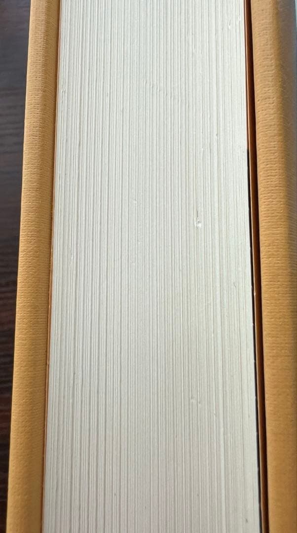 【カバー・付属なし】強運の法則