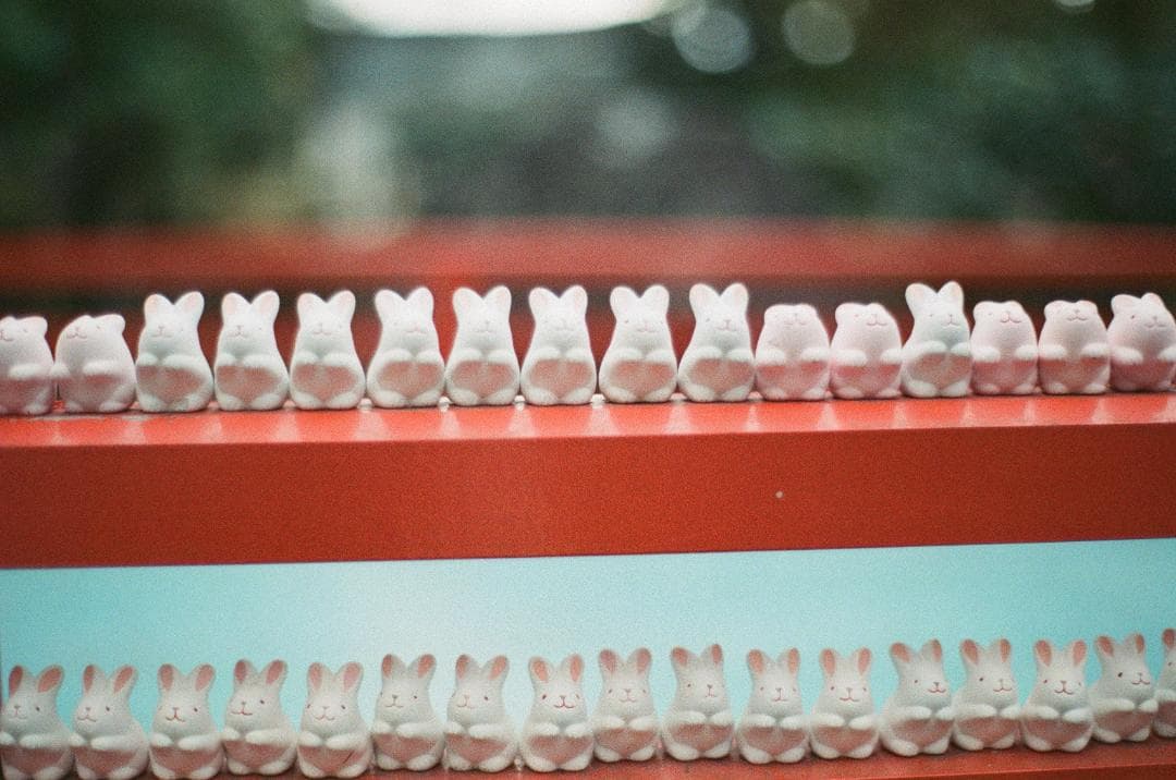 【希少】583万台 Planar 50mm F1.4 AEJ