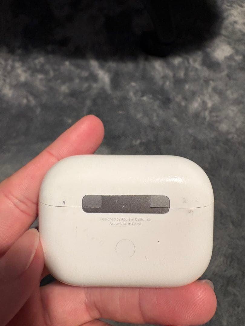 AirPodsPro第1世代本体・左耳ノイズあり説明欄必読