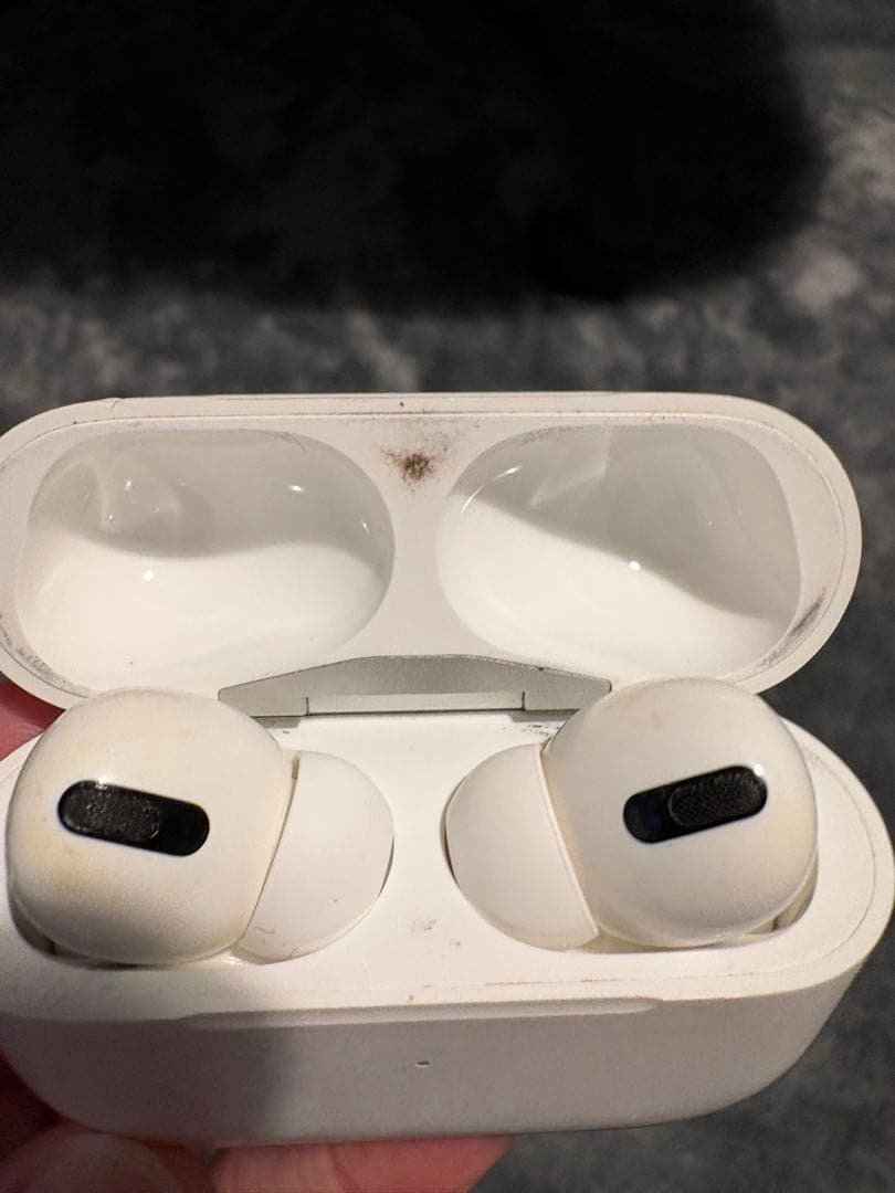 AirPodsPro第1世代本体・左耳ノイズあり説明欄必読