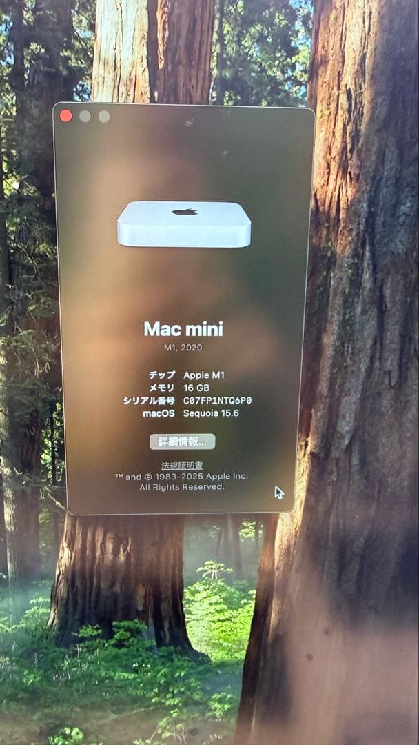 Macデスクトップ Apple Mac mini (M1, 2020) 16GB