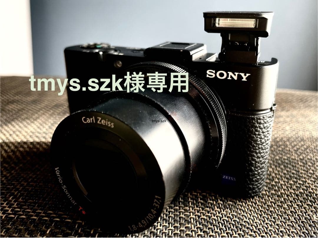 SONY Cyber shot RX100Ⅱ Carl Zeiss