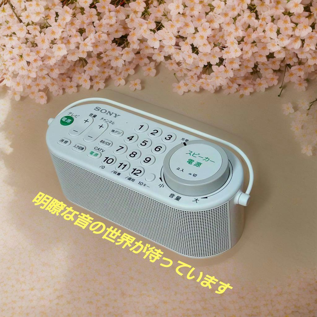 SONY SRS-LSR100 TVリモコン付ワイヤレススピーカー 美品