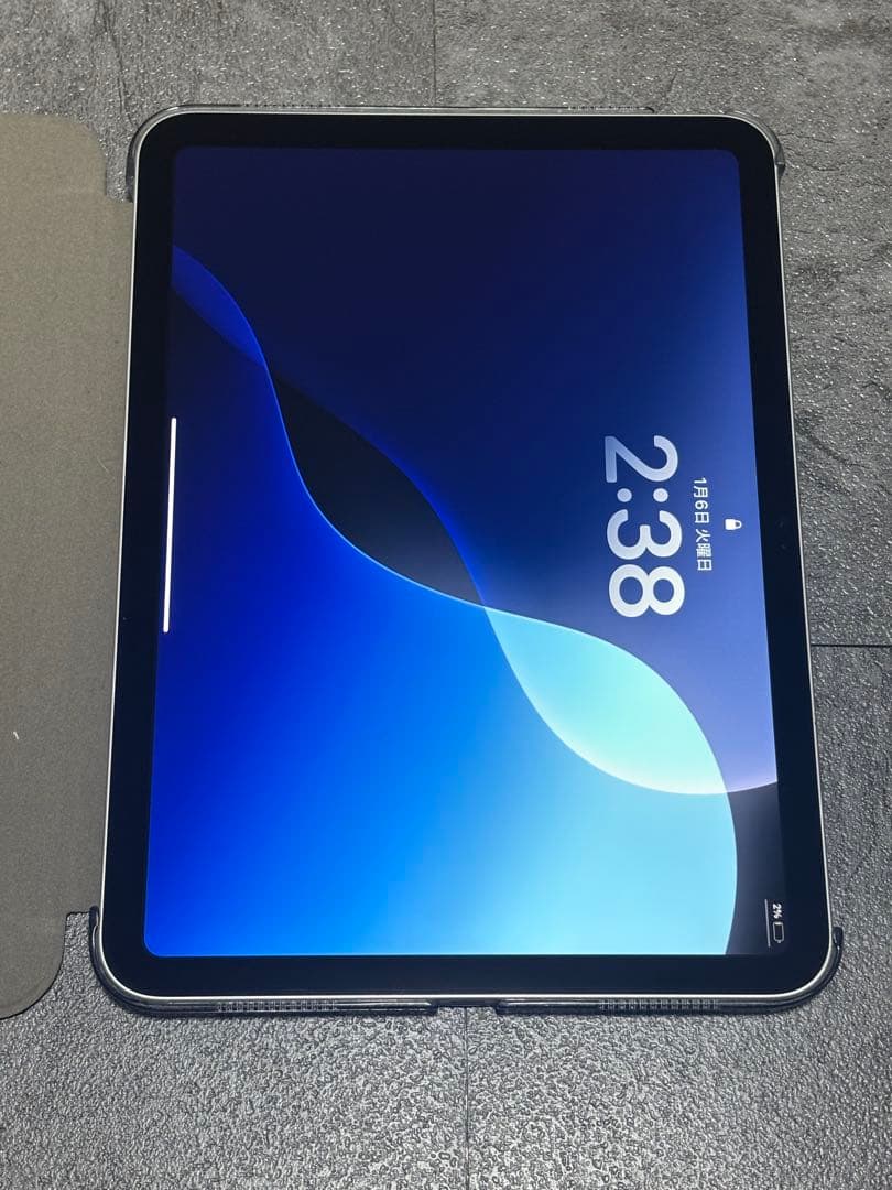 Apple iPad 11 インチ (A16): 11 インチ 126GB