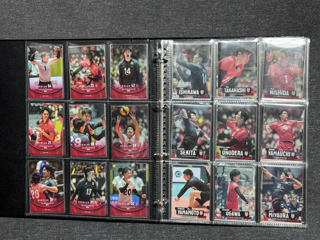 男子バレー 日本代表チーム 直筆サイン入り 金箔サイン カードセット