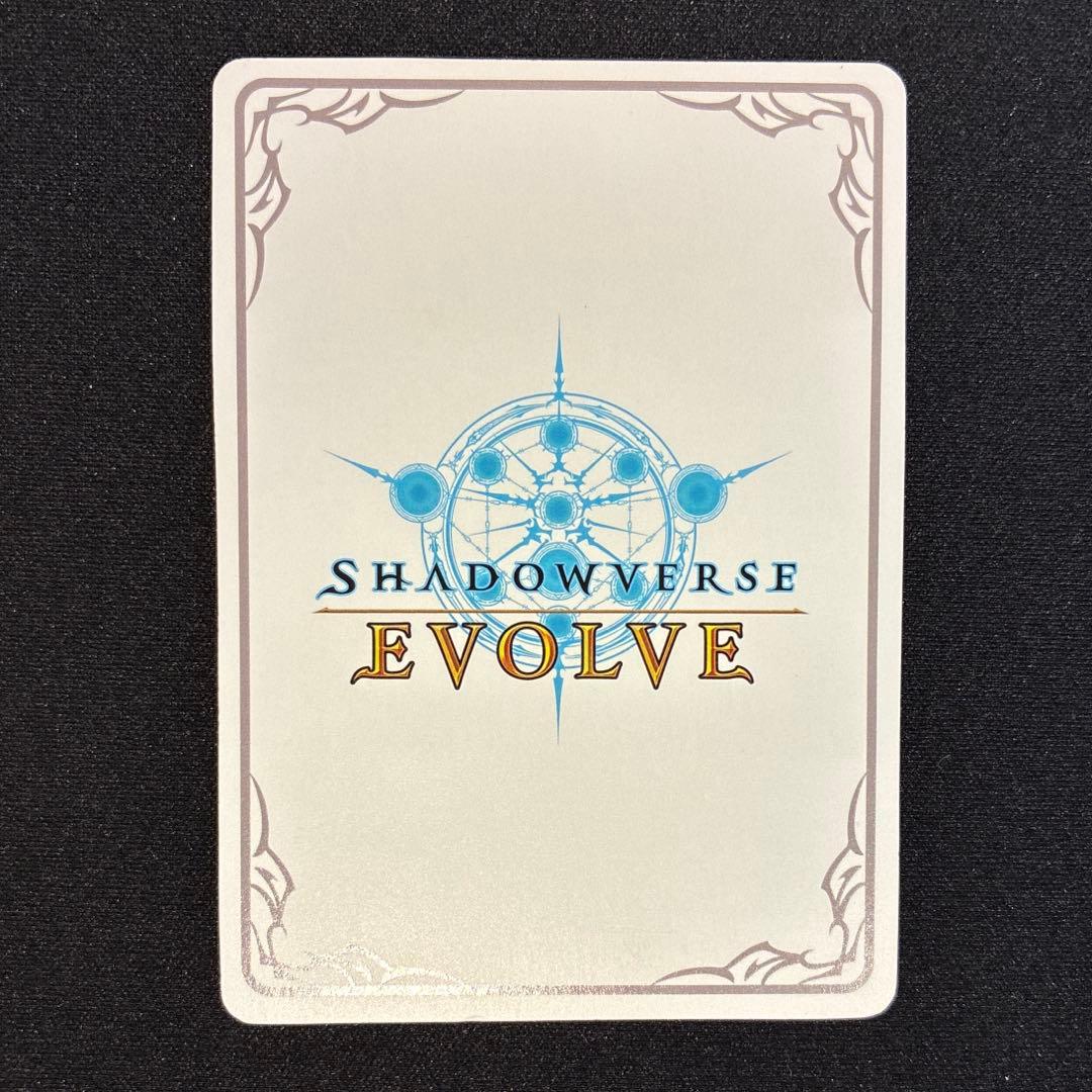 シャドウバース　遥かなる絆・アン＆グレア　リーダー