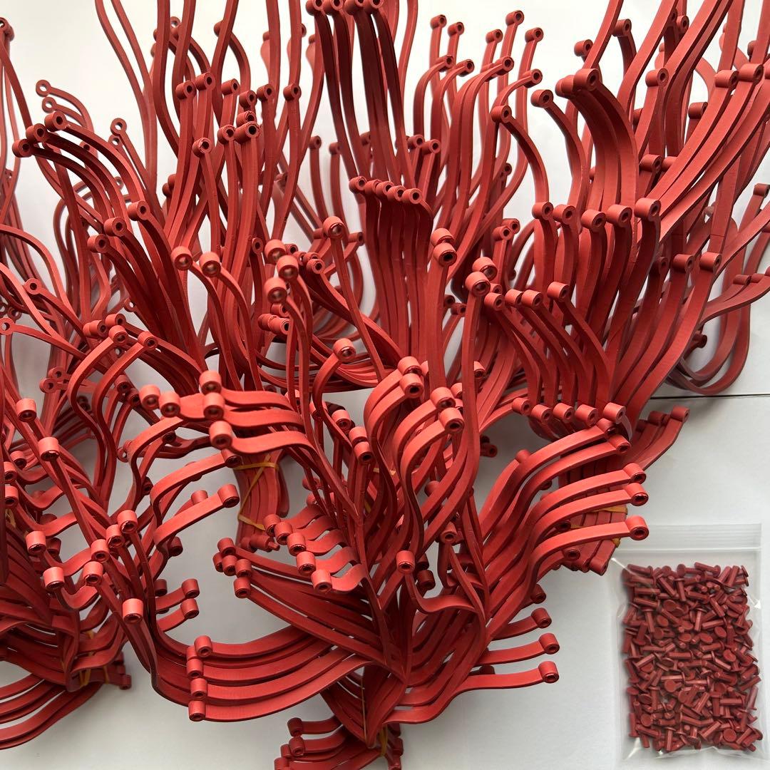 アルギュ ヴィトラ Algue vitra 赤50本➕おまけ　最終価格