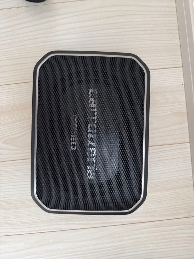 Pioneer TS-WX140DA ウーファー