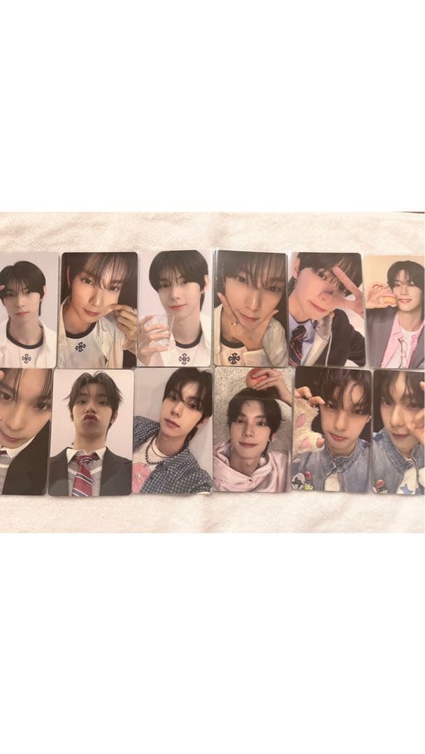 ボイプラ アーカイブ展 チェリブ コンプセット