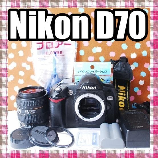 ✨ショット数1071回✨お安くデビュー✨Nikon D70 レンズセット