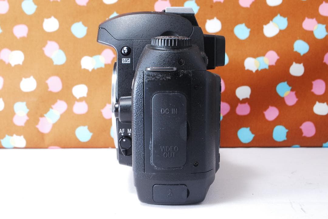 ✨ショット数1071回✨お安くデビュー✨Nikon D70 レンズセット