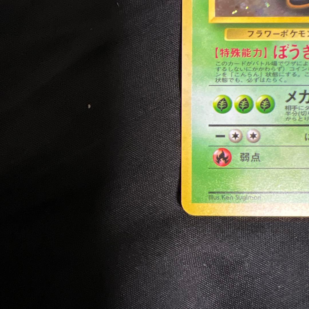 エリカのラフレシア LV34 HP80 マークなし　レア