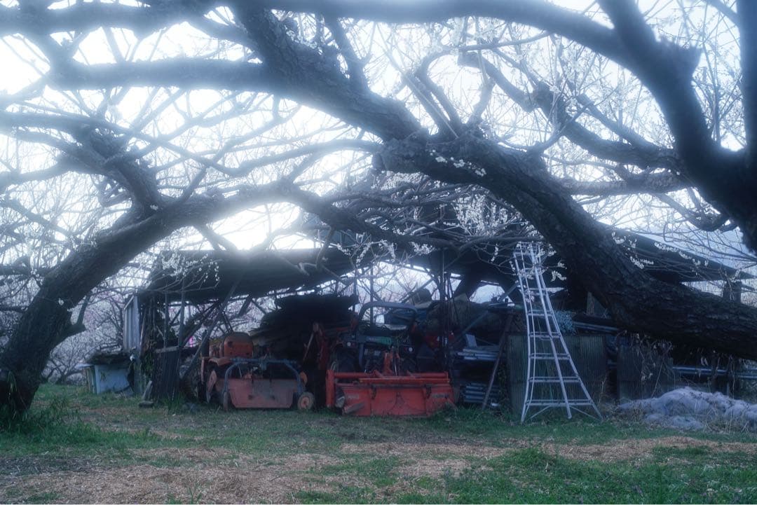 Leica Elmar 5cm F2.8（L39マウント）