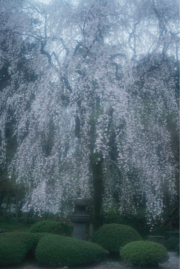 Leica Elmar 5cm F2.8（L39マウント）