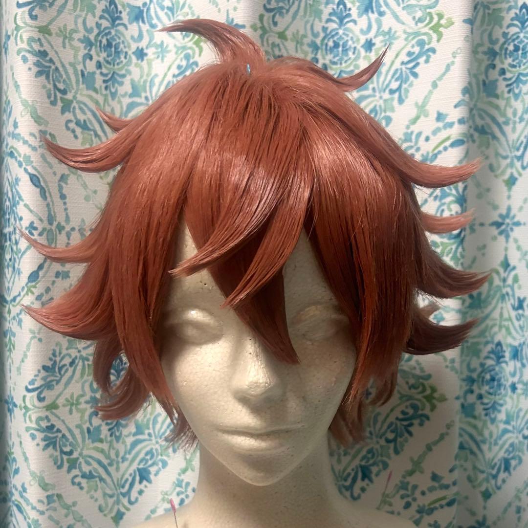 帝 エース・トラッポラ コスプレ ウィッグ