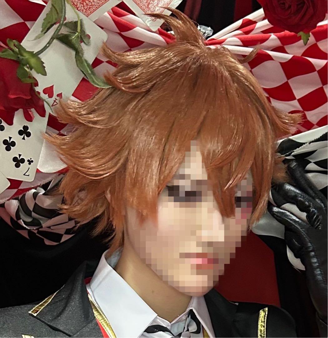帝 エース・トラッポラ コスプレ ウィッグ