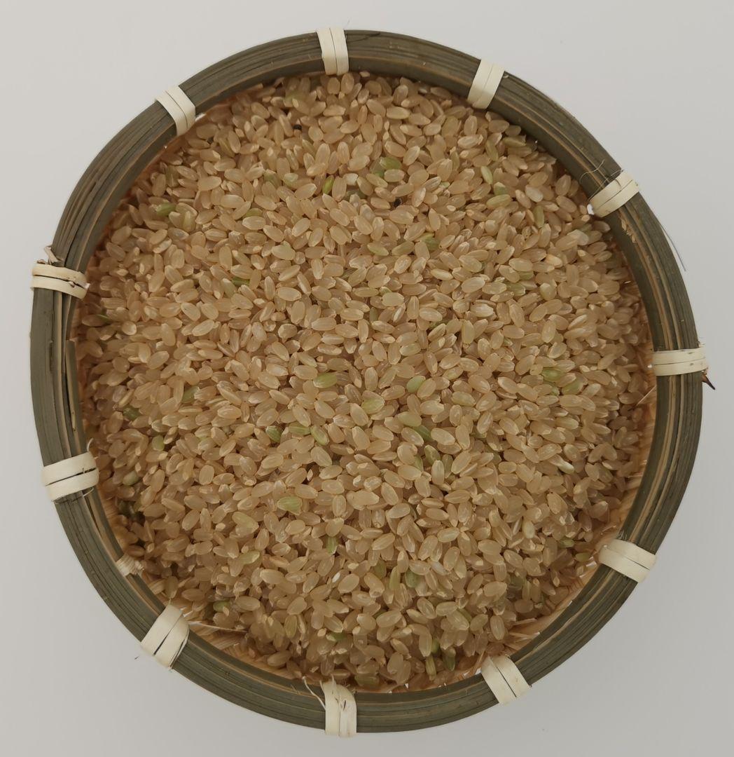 無農薬【令和7年 新米】ひとめぼれ 自然栽培米 宮城県 10kg 玄米 2025