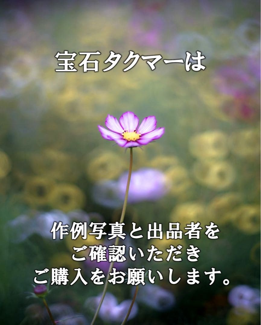 宝石レンズ_Super_Takumar_前期型　55mm_f1.8_am