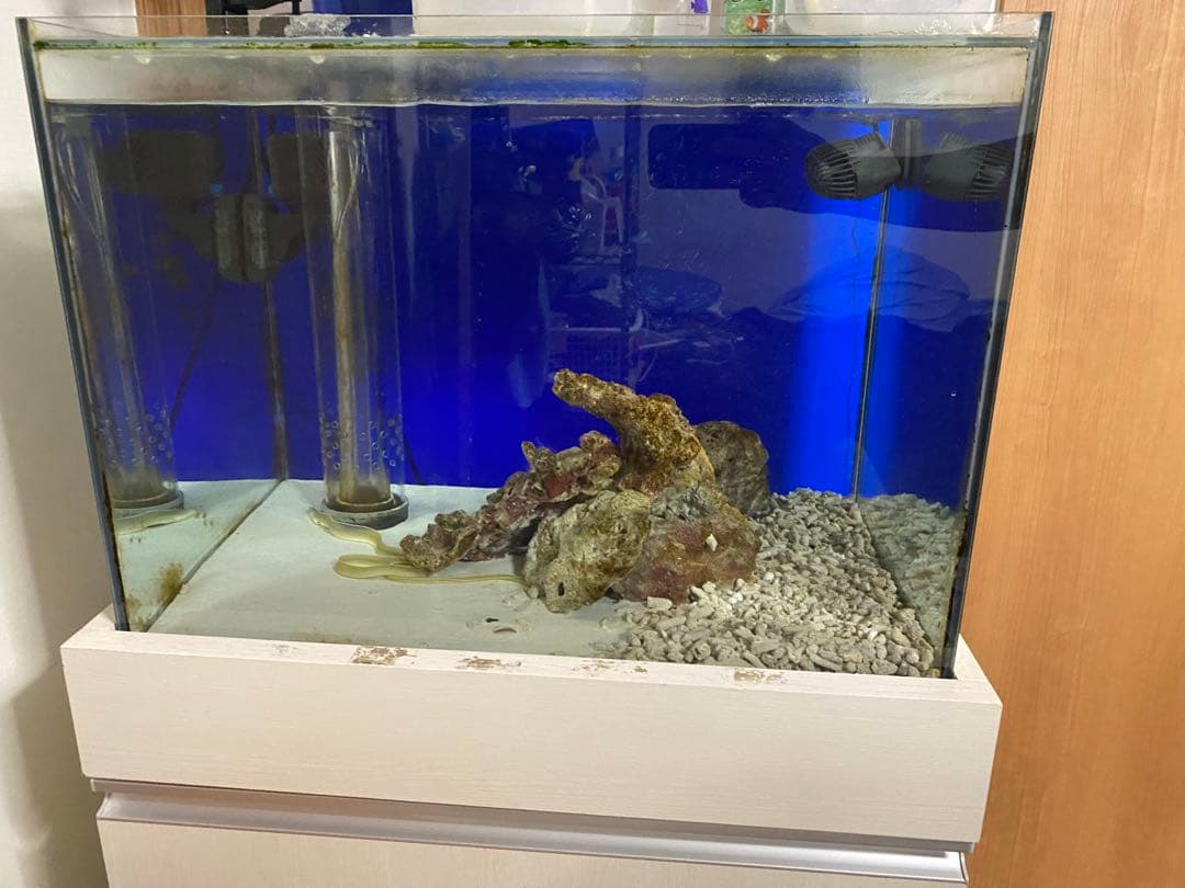 土日月セール オーバーフロー水槽 水槽台 濾過層付き