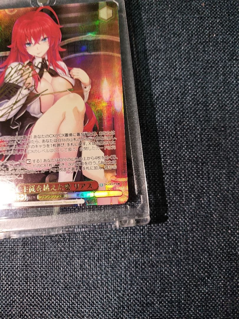 ヴァイス富士見ファンタジア文庫vol.2 主従を越えた愛 リアス　SEC